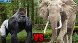 Gorilla vs Elephant | SPORE