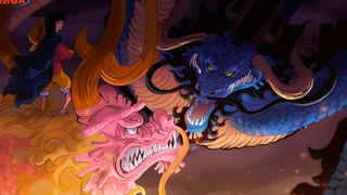 [Phân tích OP 1041]. Momo không muốn mở cửa Wano!