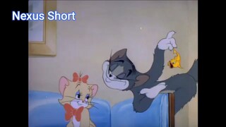 Tom & Jerry (Ep 6.1) Crush của mèo Tom (phần 1) #TomandJerry