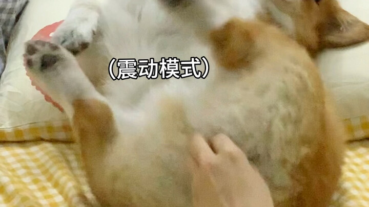 Who turned on Bao’s vibration mode!