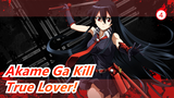 Akame Ga Kill| People who insist on watching it must be true love_4