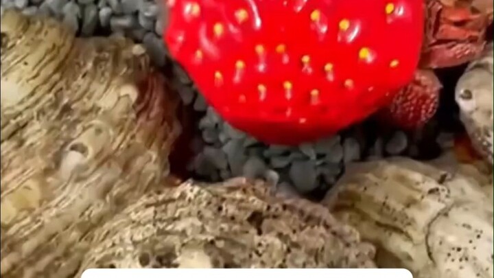 ตลาดซื้อขายบ้านมือสองของปูเสฉวน