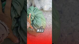 Xưởng sản xuất dép Nguyễn Như Anh giao mẫu 10 đôi dép bánh mì cho đại lý xin cảm ơn nhiều.