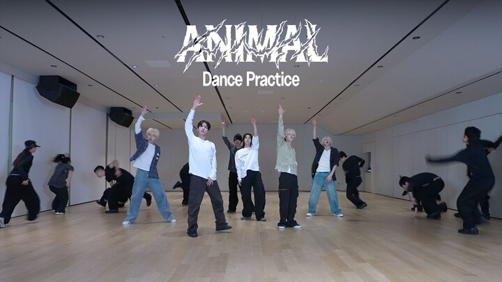 ท่าเต้น｜ซ้อมเต้นเพลง 'ANIMAL' ของ BOYNEXTDOOR