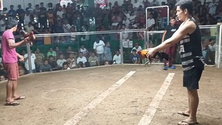 david vs goliath... win