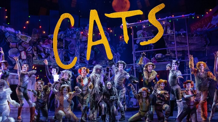 CATS (Now playing thru May 21)