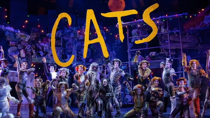CATS (Now playing thru May 21)