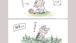 Cuộc sống thường ngày của chú heo và gia đình ông nội