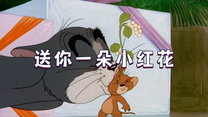 Tặng bạn một bông hoa nhỏ màu đỏ