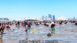 《日照龙王献宝》昨天的时候还是咯咯咯的喂鸡，今天直接听劝爆改龙王献宝。发展地方旅游业最好的方法，就是听劝，日照不会让游客空手而归