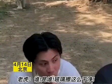 Harimau di Kebun Binatang