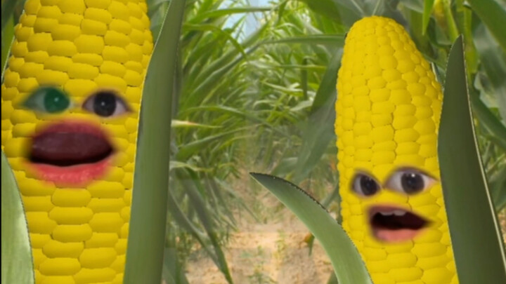 【تسجيل واقعي لانهيار خريج جديد】 في موسم التوظيف الربيعي: كل أنواع الناس موجودة!