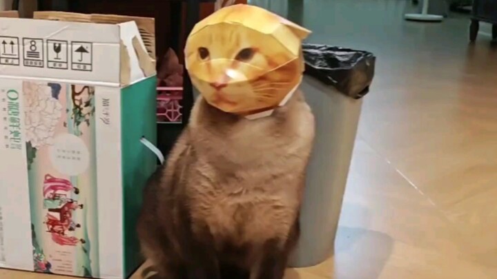 Possession successful