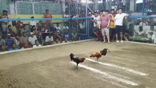 2hits ulutan first fight WIN