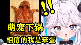 日V狐娘看萌宠区UP主，相信正常的我是笨蛋