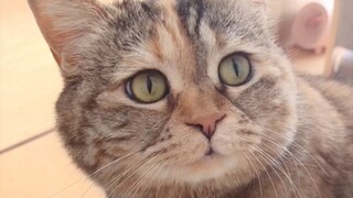 麻麻，我爬不上来😭