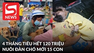 Chủ đàn chó bị tiêu huỷ ở Cà Mau: 4 tháng tiêu hết 120tr của mạnh thường quân để nuôi đàn chó mới