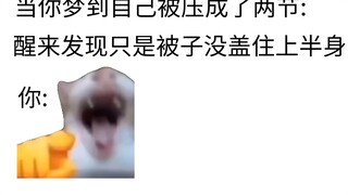 当你梦到你被碾压成了两段