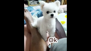 มิติใหม่แห่งการชวนเล่น