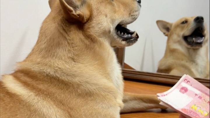 Salaries for March to August have been paid. Please check your accounts.