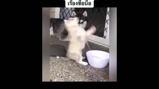 พ่อกับแม่ภูมิใจในตัวลูกมากๆ นะ