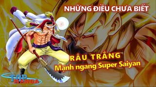 Râu trắng mạnh ngang Super Saiyan & Những điều có thể bạn chưa biết về One Piece