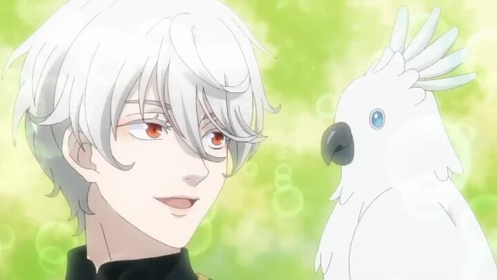 with bird white