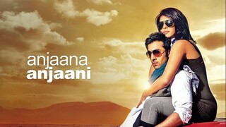 Anjaana Anjaani 2010 Hindi