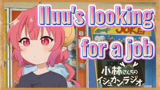 Iluu's looking for a job