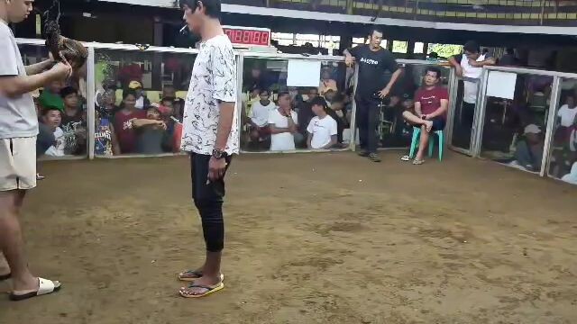 dirty dome 8months.. jap3kings