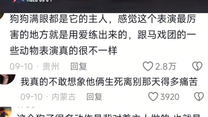 นี่แหละคือการแสดงสัตว์ที่ฉันอยากเห็น แบบที่มีการตบตีด่าทอกัน มีแต่จะทำให้ฉันอยากด่าพวกนายทุนไร้จิตสำ