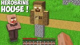 Why THIS VILLAGER BUILD HOUSE INSIDE HEROBRINE in Minecraft ? NEW HEROBRINE HOUSE !