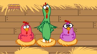 Gallina Pintadita | Galinha Pintadinha e sua turma em Espanhol | Animation meme [oc]