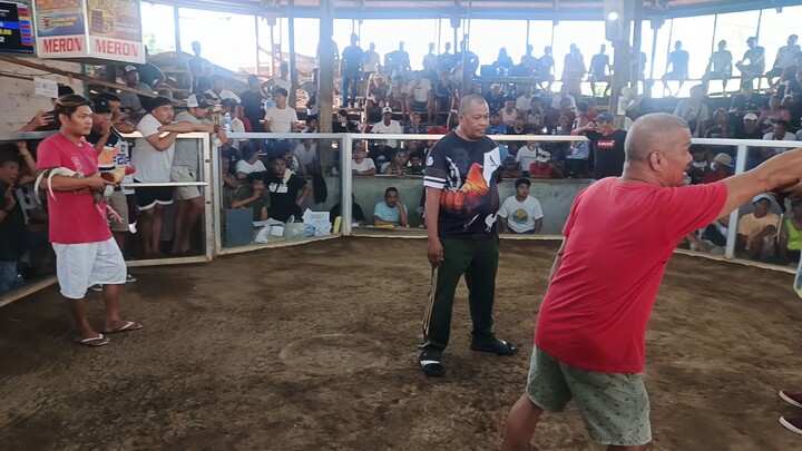 ALPHA HATCH NLGBA ELIMS