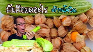 กินผัก ผลไม้ ไม่รู้จักชื่อ ต้านโยโควิด โหดแซ่บนัว