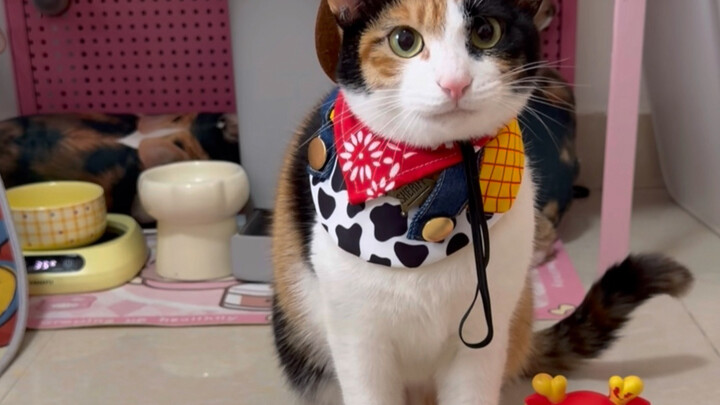 Still reading the room