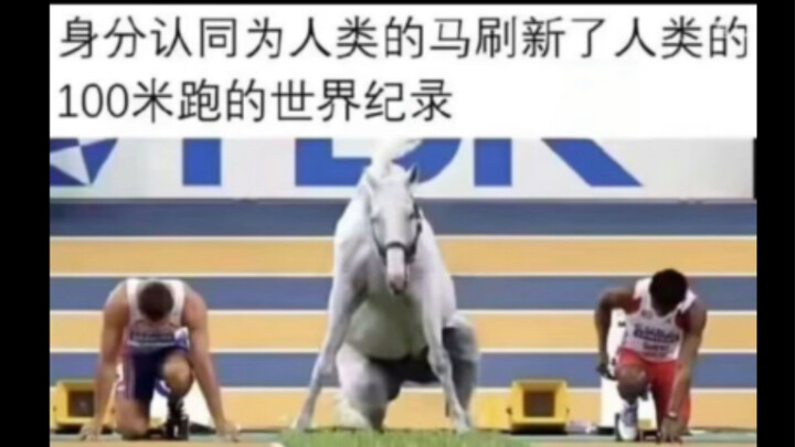 Silly Memes | A Horse Who Identifies as Human Has Broken the World Record in the 100-Meter Dash