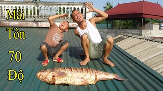 Cá Trắm 1 Nắng - Không Thể Tin Với Nhiệt Độ Trên Mái Tôn Những Ngày Nắng Nóng