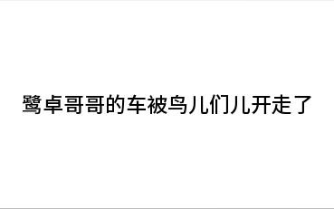 鹭卓哥哥的车被鸽儿们儿开走了