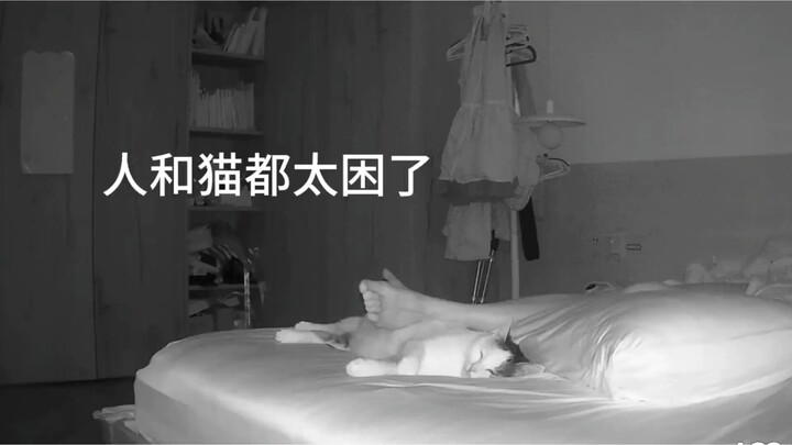 The probability of being squashed while sleeping with mom is 100%.