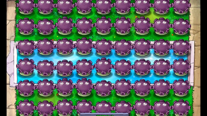 พืชชนิดใดสามารถลุยด่าน 95 แบบโซโล่ได้? คำตอบน่าตกตะลึงมาก!