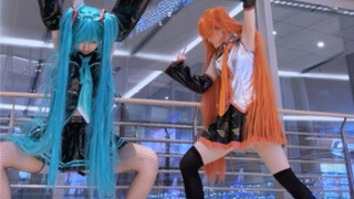 两个miku也找不到哪是太阳系《太阳系disco》翻跳