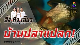 บ้านปลาแปลก! | อึ้ง ทึ่ง เสียว