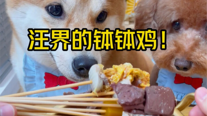 Episode 7 | With Nothing Better to Do, I Recreated Chengdu’s “Bo Bo Chicken” for My Puppy