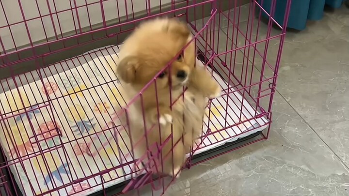 At an age when I couldn’t control my urge to pee, I managed to hold back.