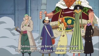 zoro selalu diperhatikan ygy