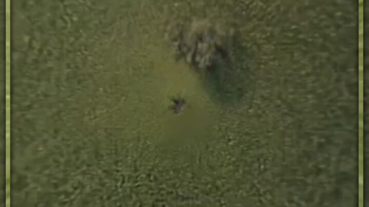 funny thing but cute 😆