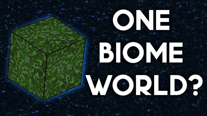 Minecraft World With ONE Biome?