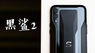 Hands-on with Tech: Black Shark 2 Experience—This Time, No Controller Needed? Can You Still Dominate