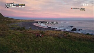 Law of the Jungle in Wild New Zealand Part 1 [2] ENG SUB